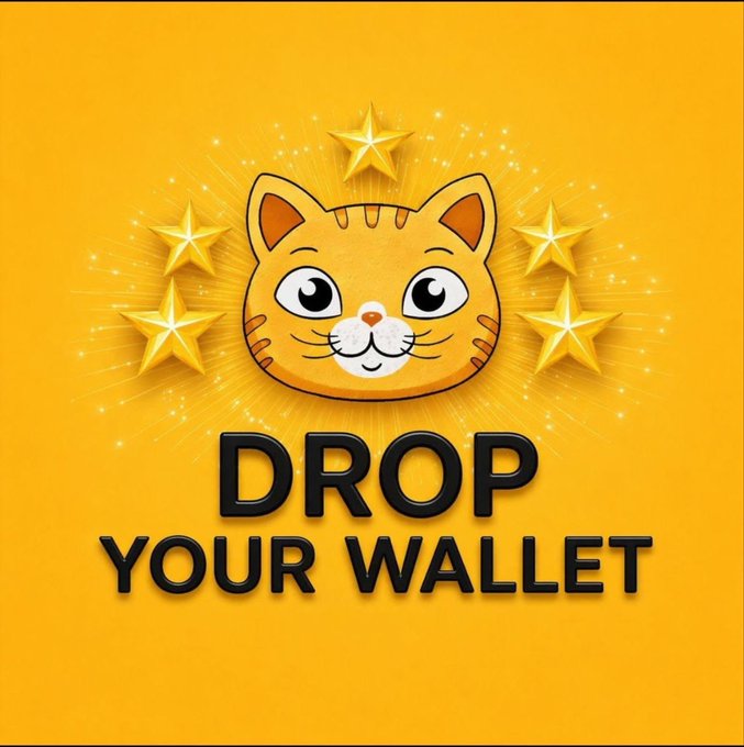 An orange graphic featuring a cartoon cat face surrounded by gold stars with the text 'DROP YOUR WALLET' in bold black letters.