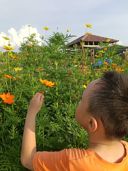 The image shows a young boy reaching up towards some flowers, possibly trying to pick one or simply admiring their beauty from above. The scene takes place outdoors with a backdrop of a building visible in the background. The photo has been captioned "Confusion often comes from Wanting too many things at once while I just want paid 𝕏 - keep building 𝕏 - keep replying". This phrase seems to be related to the boy's desire for multiple flowers or experiences, which can sometimes lead to confusion and a lack of focus on any single thing.