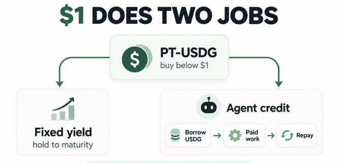 An infographic explaining 'PT-USDG' functionality, illustrating how one dollar provides both fixed yield and agent credit through borrow and repay cycles.