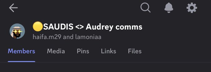 A Telegram chat header titled "🟡SAUDIS <> Audrey comms" with members "haifa.m29 and lamoniaa," showing navigation tabs for Members, Media, Pins, Links, and Files.