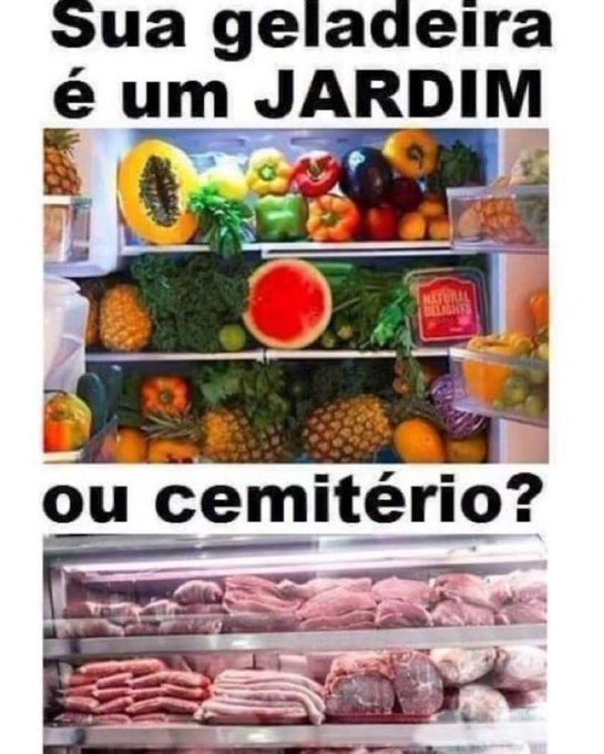 A Portuguese meme asking 'Sua geladeira é um JARDIM ou cemitério?' (Is your fridge a garden or cemetery?), showing a fridge full of fruits and vegetables above a fridge full of raw meat.