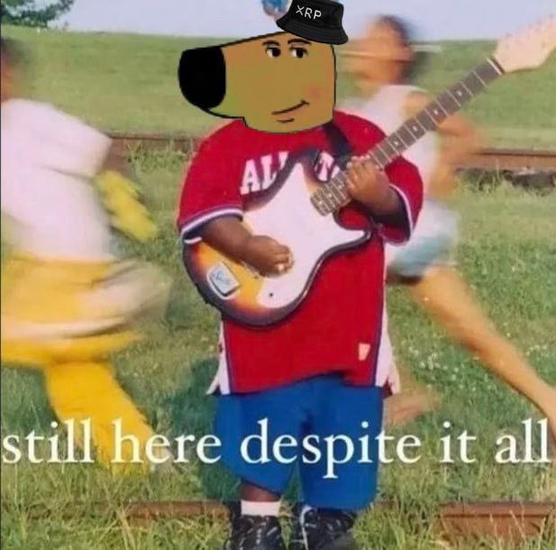 A meme featuring a bear character wearing an XRP hat and an Atlanta jersey playing a guitar, with the text 'still here despite it all' overlaid.