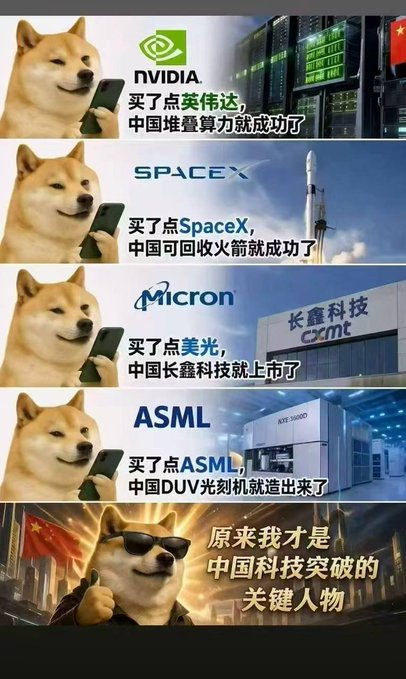 A Chinese meme graphic using the 'Doge' doge meme to humorously claim that buying tech stocks like NVIDIA, SPACEX, Micron, and ASML leads to Chinese technological breakthroughs, captioned '原来我才是中国科技突破的关键人物' (So I am the key figure in China's tech breakthrough).