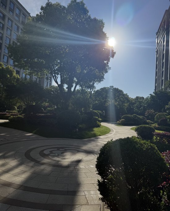 Sunny outdoor scene in a landscaped courtyard or garden with manicured bushes, trees, stone paving, and surrounding buildings, with sunlight streaming through the foliage.