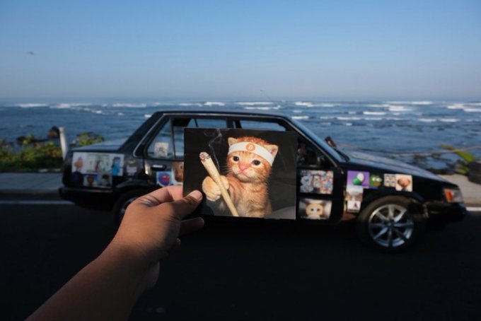 A hand holds up a printout of a cat wearing a white headband in front of a black car covered in stickers parked by the ocean.