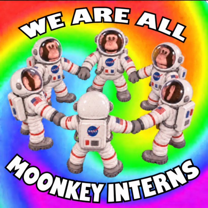 A meme graphic shows five toy chimpanzees in NASA spacesuits holding hands in a circle against a rainbow background, with text reading 'WE ARE ALL MONKEY INTERNS'.