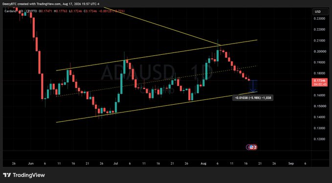 A TradingView candlestick chart of Cardano (CRYPTO:ADA/USD) on the 1-day timeframe from June to August 2026, showing a descending price action within a symmetrical triangle pattern with a potential -5.98% move indicated.