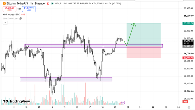 Bitcoin/TetherUS 1-hour Binance chart showing BTC price action around $64,670 with horizontal resistance zones highlighted in purple/pink rectangles and a green arrow indicating projected upward movement.
