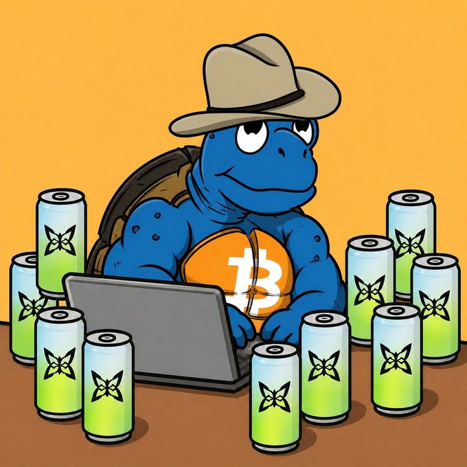 The image features a cartoon turtle wearing a hat sitting at a desk with a laptop computer open in front of him. Surrounding the turtle are numerous cans of soda, including some that appear to be beer cans. The scene suggests an interesting juxtaposition between the traditional office setting and the modern world of cryptocurrency mining.