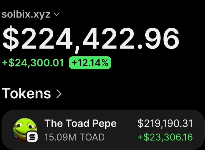Screenshot of a Solscan wallet page for solbix.xyz showing a balance of $224,422.96 (+$24,300.01, +12.14%), with the main holding being 15.09M Toad Pepe ($TOAD) tokens valued at $219,190.31 (+$23,306.16). The image illustrates the post's claim of a massive gain on $TOAD, showing the wallet still holding over $219K in tokens after selling nearly $10K worth.