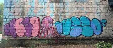 Colorful graffiti on a brick wall featuring bubble-letter tags in purple, pink, and teal, representing the street art origins of the Neso NFT collection being brought from the streets to the blockchain with a 5,000 supply and 0.0008 mint fee.