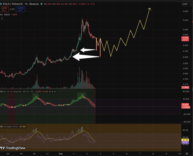 A TradingView chart of EGLD/TetherUS on Binance showing price action with arrows indicating potential bullish movement and RSI/TSI indicators below.
