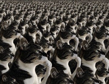 An endless, repeating 3D pattern of black and white penguin figurines arranged in a dense grid formation.
