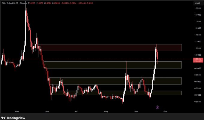 A TradingView candlestick chart for SUI/TetherUS on Brandex, showing daily price action with horizontal resistance/support zones marked between $0.65 and $1.05 from May to October.