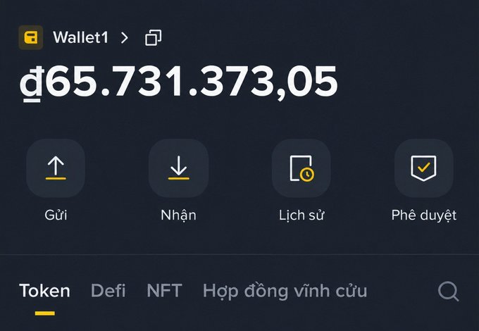 A crypto wallet interface in Vietnamese showing a balance of ₫65.731.373,05 in 'Wallet1' with options for Send (Gửi), Receive (Nhận), History (Lịch sử), and Approve (Phê duyệt).