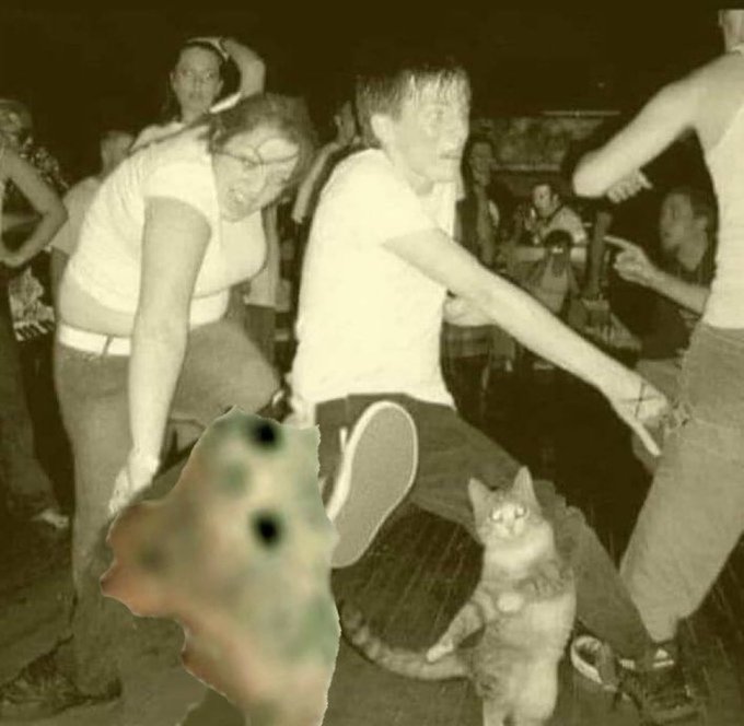A sepia-toned photograph shows people dancing in what appears to be a club or party, with a cat sitting on the floor and a colorful blurry blob-like creature in the foreground.