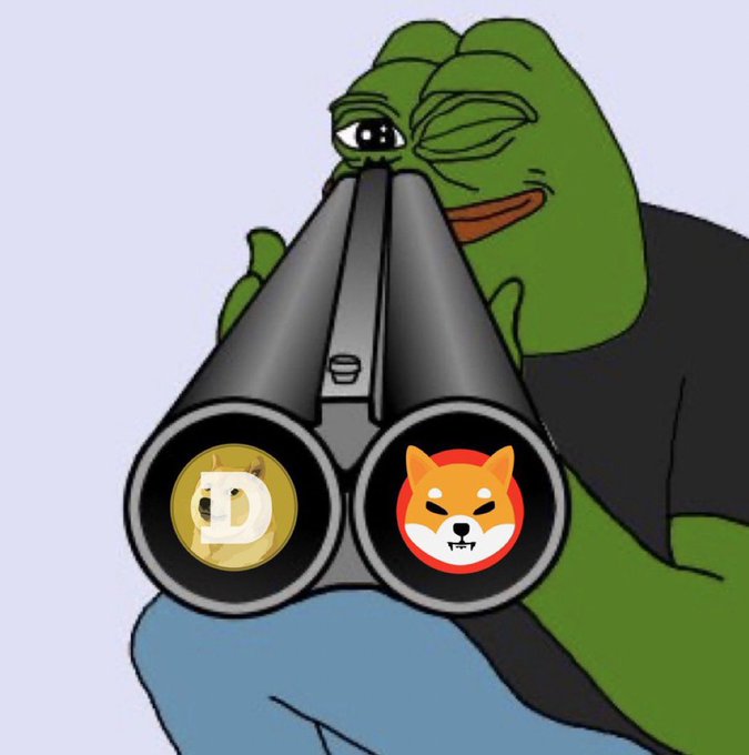 A Pepe the Frog meme looking through binoculars with the lenses displaying a Dogecoin logo and a Shiba Inu logo, symbolizing watching crypto prices.