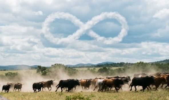 A herd of cattle stampedes across a dusty plain beneath a blue sky featuring an infinity symbol formed by clouds.