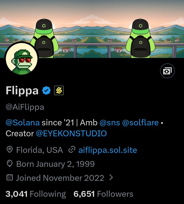 A Twitter profile for 'Flippa' (@AiFlippa) with a verified checkmark, featuring a pixel-art avatar, banner showing two green alien-like figures overlooking a landscape, and bio reading '@Solana since '21 | Amb @sns @solflare • Creator @EYEKONSTUDIO' based in Florida, USA, born January 2, 1999.