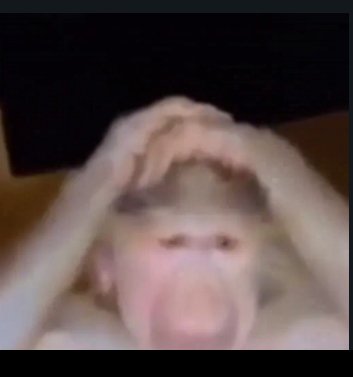 A low-resolution photo of a monkey holding its head with both hands, mimicking a human gesture of distress or frustration.