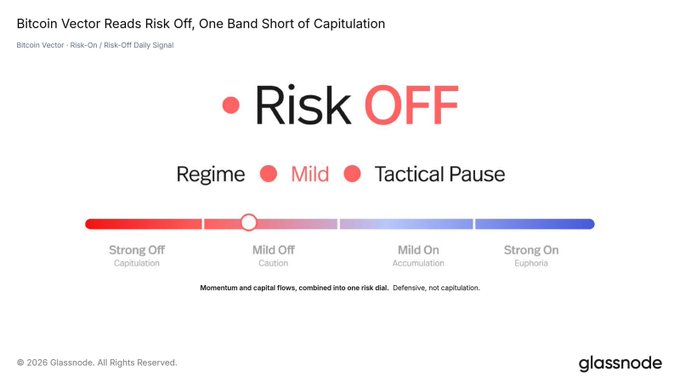 A Glassnode Bitcoin Vector chart displaying a 'Risk OFF' signal with a 'Mild' regime and 'Tactical Pause' classification, positioned near 'Strong Off' on the spectrum but not at 'Capitulation.'