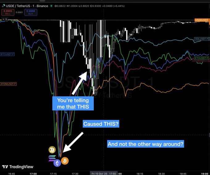 A TradingView chart for the USDE/TetherUS pair on Binance showing a dramatic price spike, with blue annotation boxes asking 'You're telling me that THIS Caused THIS? And not the other way around?' pointing from crypto coin logos at the bottom to the price movement.
