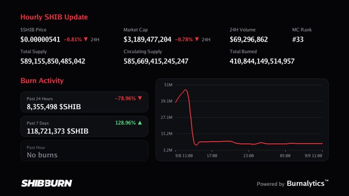 SHIBBURN dashboard showing an 'Hourly SHIB Update' with price at $0.00000541, market cap of $3,189,477,204, and a 'Burn Activity' chart from Burnalytics.