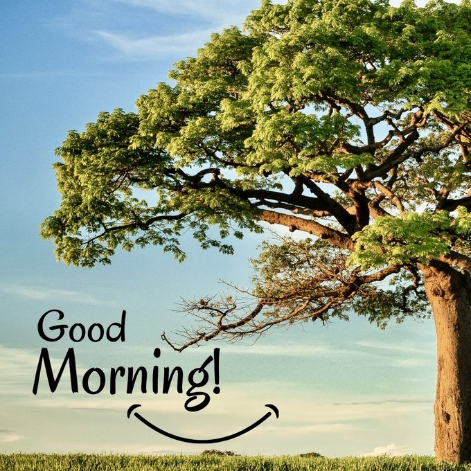 Inspirational image of a large green tree under a blue sky with 'Good Morning!' text and a smiley face.