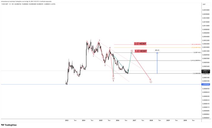 A weekly candlestick chart of FLOKI/USDT on TradingView displays an Elliott Wave analysis with key price targets marked: "2 C HDG" near $0.00024000 and "3 C HDG" near $0.00019000, alongside Fibonacci extension levels (1.618 at $0.00024484 and 1.272 at $0.00019906), illustrating a Leading Diagonal in Wave A and the projected Wave C retracement within Wave B.