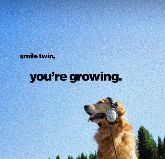 A golden retriever wearing headphones against a blue sky with the text 'smile twin, you're growing.'