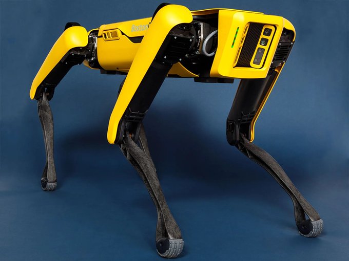 Boston Dynamics' yellow and black Spot robot dog standing against a blue background.