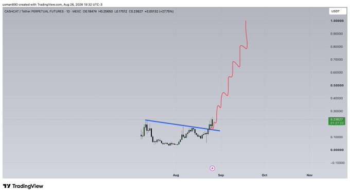A TradingView chart for CASH/USDT perpetual futures shows a breakout from a descending triangle pattern, with the red line projecting a sharp rally toward the $1.0000 mark—aligning with the post's bullish "$CASHCAT RUNNING TO $1" sentiment.