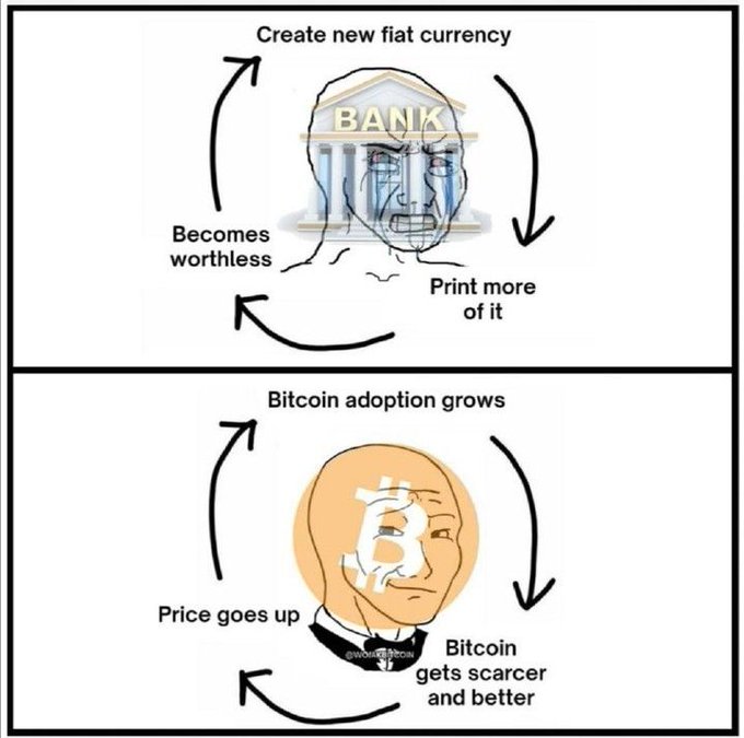 The image is a two-panel meme comparing the infinite money printing cycle of banks (top: "Create new fiat currency" → "Print more of it" → "Becomes worthless") with the self-reinforcing Bitcoin flywheel (bottom: "Bitcoin adoption grows" → "Bitcoin gets scarcer and better" → "Price goes up"), illustrating why the commenter prefers Bitcoin's fixed-supply deflationary model over fiat currency's inflationary cycle.