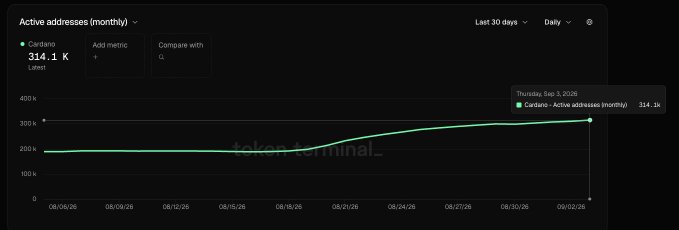 A dark-themed analytics dashboard displays 'Active addresses (monthly)' for Cardano at 314.1k, with a green line chart tracking activity over the last 30 days.