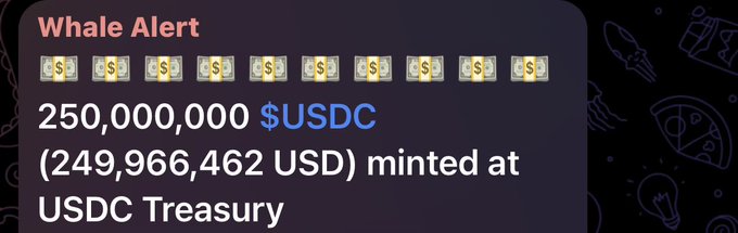 The image shows a bar graph of $250,000,000 USDC coins minted at the USDC Treasury. The graph has bars representing each coin minted, with different lengths indicating their amounts. The most recent mint is shown as being at the top, and the oldest being at the bottom left. This data might be used by a whale-watching company in tracking whale movements or could show the evolution of financial systems over time.