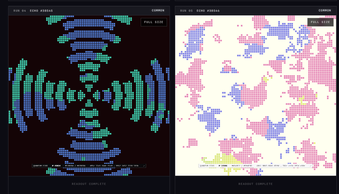 Two side-by-side digital readouts titled 'RUN 04 ECHO #38545' and 'RUN 05 ECHO #38546' marked 'READOUT COMPLETE', displaying colorful pixelated patterns in green/blue and pink/blue respectively.