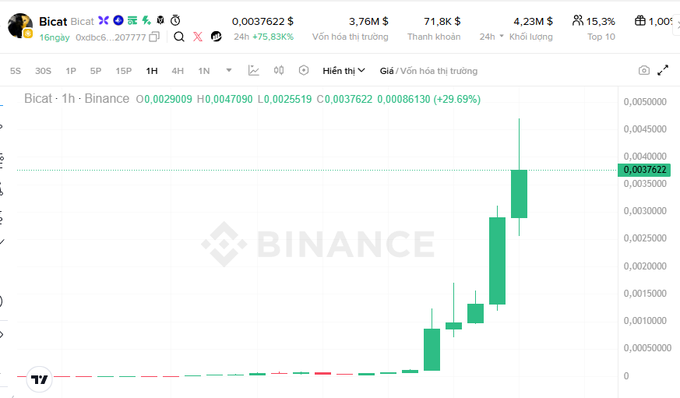 A Binance 1-hour chart of Bicat ($Bicat) shows a sharp vertical rally with consecutive green candles, confirming the post's claim of a 3x price surge to $0.0037622, with a 24-hour volume of $4.23M, market cap of $3.76M, and liquidity of $71.8K.
