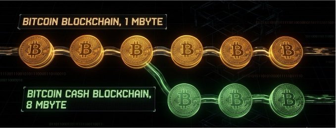 A diagram illustrating the Bitcoin blockchain (1 MB) splitting off to form the Bitcoin Cash blockchain (8 MB), depicted with golden Bitcoin coins leading to green Bitcoin Cash coins, symbolizing the 2017 hard fork that created Bitcoin Cash, currently valued at $206.88 per coin.