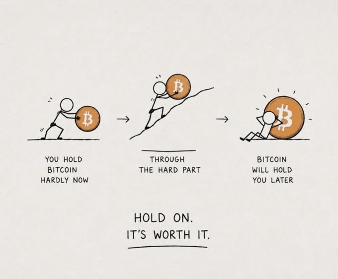 A simple cartoon illustration showing the progression of holding Bitcoin with the text 'HOLD ON. IT'S WORTH IT.'