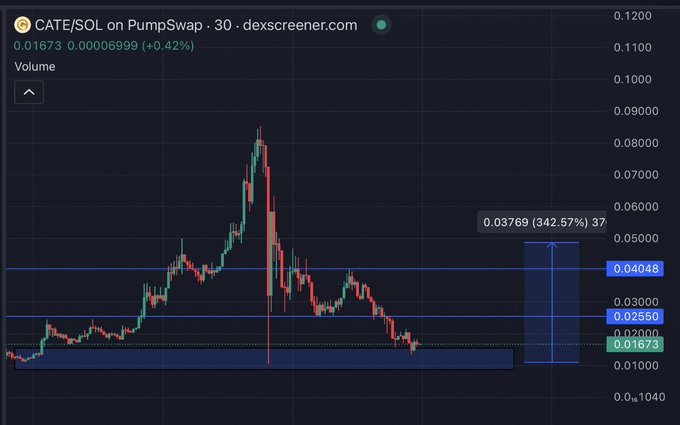 A DexScreener chart for the CATE/SOL trading pair on PumpSwap shows the token's price currently at 0.01673 (+0.42%), with horizontal support levels marked at 0.02550 and 0.04048, and a potential upside target highlighted at 0.03769 representing a 342.57% gain from the marked "bluebox bottom."
