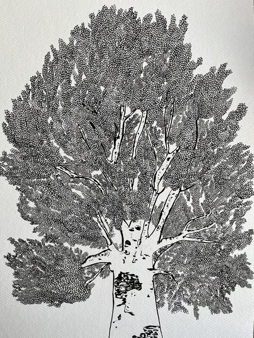 A black and white line drawing of a tree with numerous small leaves on its branches, titled "New Drop" underlined. The image also includes text that reads "Waiting for the Wind" and features an Instagram account @objktcom showing interest in this artwork.