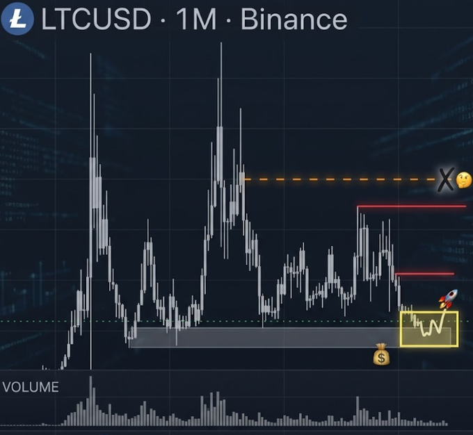 A Litecoin (LTCUSD) 1-month candlestick chart from Binance is displayed, showing price action testing a key support zone (highlighted with a money bag emoji and a rocket annotation suggesting a potential bounce) beneath major resistance levels marked by an X. The chart visually reinforces the post's "digital silver" narrative by showing LTC at relatively low historical price levels compared to Bitcoin's lofty valuation, with the highlighted support zone implying an anticipated rally to close the gap.