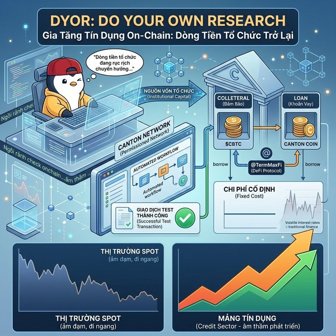 An infographic titled 'DYOR: DO YOUR OWN RESEARCH' with Vietnamese text explaining 'Gia Tăng Tín Dụng On-Chain: Dòng Tiền Tổ Chức Trở Lại', featuring a penguin mascot and diagrams of Canton Network, Collateral, Loan, and market trends.