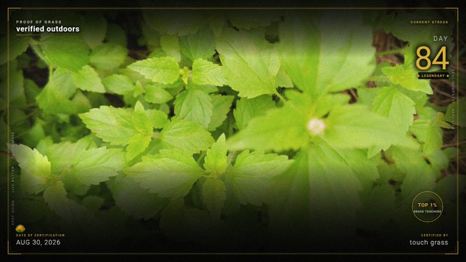 A 'Proof of Grass' certificate from verified outdoors showing green leafy plants with overlay text reading 'CURRENT STREAK DAY 84', 'CERTIFIED AUG 30, 2026', and 'CERTIFIED BY touch grass' in a vintage document style.