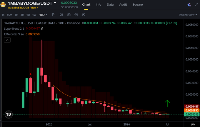 A TradingView candlestick chart for 1MBABYDOGE/USDT on Binance shows a significant price decline from late 2024 through 2026, currently at $0.0003033 (-1.10%).