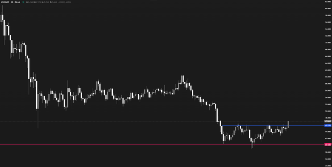 A candlestick chart of LTCUSD on a 1-hour timeframe displays a sharp decline followed by a period of consolidation, with recent price action hovering near the highlighted support (red) and resistance (blue) levels around the $84 mark. The chart visually supports the post's question of whether Litecoin is poised for a significant move.