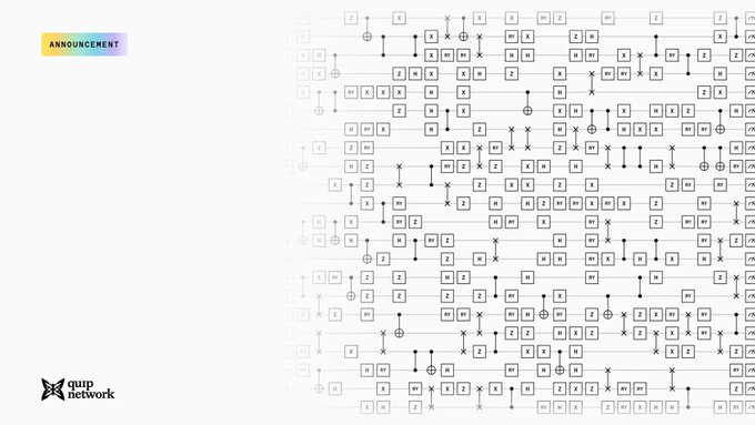 A 'qanp network' announcement graphic featuring a complex circuit-like diagram made of X, Z, and other quantum computing gate symbols.