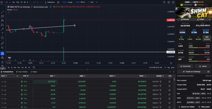 A Dexscreener trading interface for HMM/WETH on Uniswap showing a price of 0.007966, with a recent price spike visible on the 1-minute candlestick chart.
