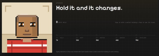 A promotional graphic showing a pixelated character face stating 'Hold it and it changes,' with facial element stats: WILD 74, KEPT 156, MUTED 308, WIPED 608, SHIELDED 904, describing 80 elements that can be rearranged.