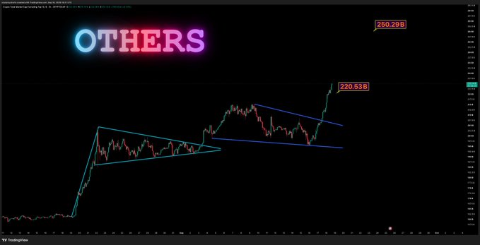 A cryptocurrency trading chart from TradingView titled "OTHERS" displayed in neon text, showing candlestick patterns with technical analysis lines marking price levels at 250.29B and 220.53B.